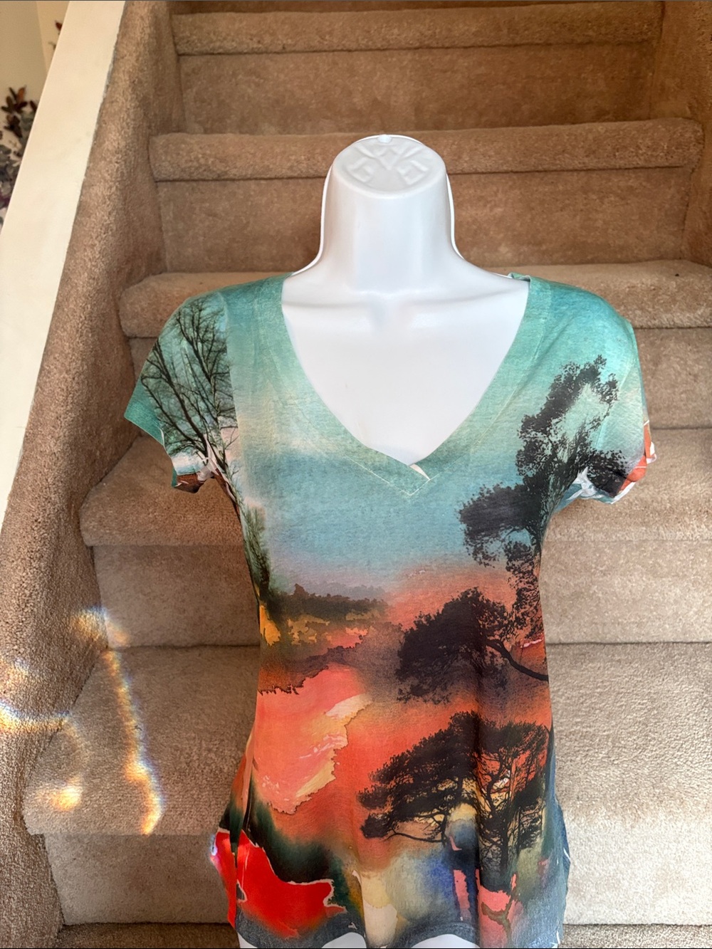Scenic V-Neck Short Sleeve Tee in Teal and Orange in Medium